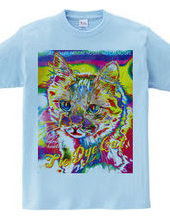 Tie Dye Cat