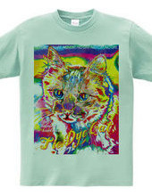 Tie Dye Cat