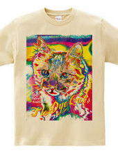 Tie Dye Cat