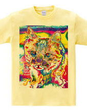 Tie Dye Cat