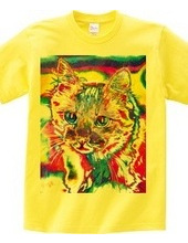 Tie Dye Cat - Not Words -