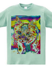 Tie Dye Cat - Not Words -