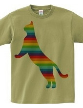 Rainbow Cat