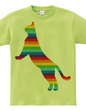 Rainbow Cat