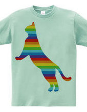 Rainbow Cat