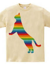 Rainbow Cat