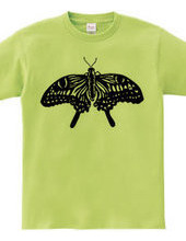 Swallowtail Butterfly (black and white)