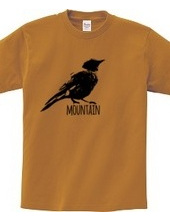 Mountain Bluebird 01