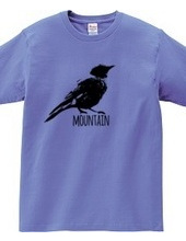 Mountain Bluebird 01