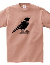 Mountain Bluebird 01