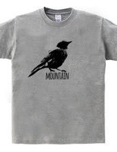 Mountain Bluebird 01