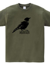 Mountain Bluebird 01