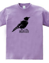 Mountain Bluebird 01