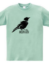 Mountain Bluebird 01