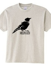 Mountain Bluebird 01