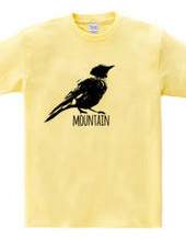 Mountain Bluebird 01