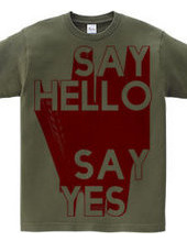 SAYH HELLO SAY YES