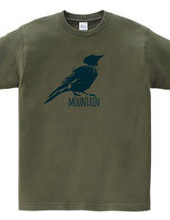 Mountain Bluebird 02