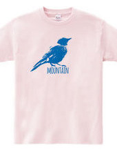 Mountain Bluebird 02