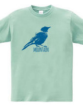 Mountain Bluebird 02