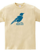 Mountain Bluebird 02