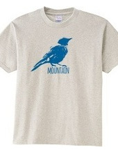 Mountain Bluebird 02