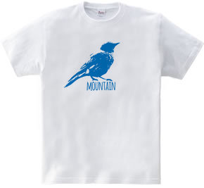 Mountain Bluebird 02