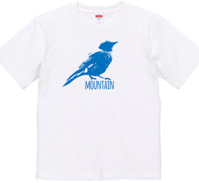 Mountain Bluebird 02