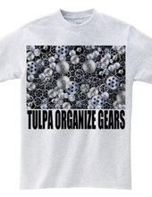 TULPA ORGANIZE GEARS