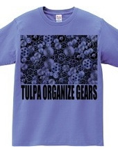 TULPA ORGANIZE GEARS