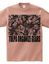 TULPA ORGANIZE GEARS