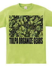 TULPA ORGANIZE GEARS