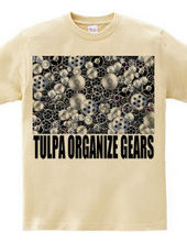 TULPA ORGANIZE GEARS