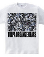 TULPA ORGANIZE GEARS