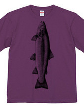 Rainbow trout