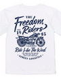 The Freedom Riders