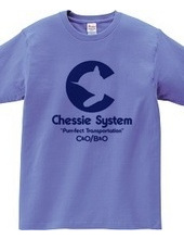 The Chessie System