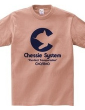 The Chessie System