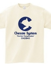 The Chessie System