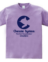 The Chessie System