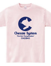 The Chessie System