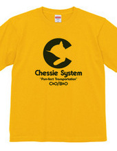 The Chessie System