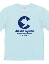 The Chessie System