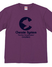 The Chessie System