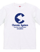 The Chessie System