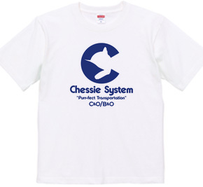 The Chessie System