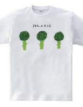 3 broccolis & no dressing