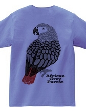 African Grey parrot