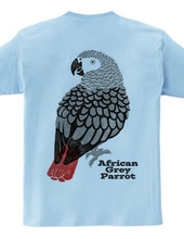 African Grey parrot