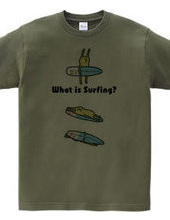 SURFING -rabbit&surfboard